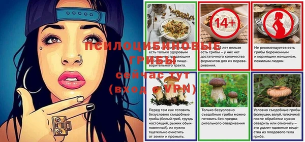 mdpv Богданович